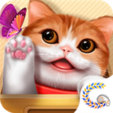花样猫咪最新版