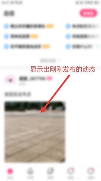 皮皮蟹发布动态流程图片4