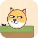 救救狗狗大作战