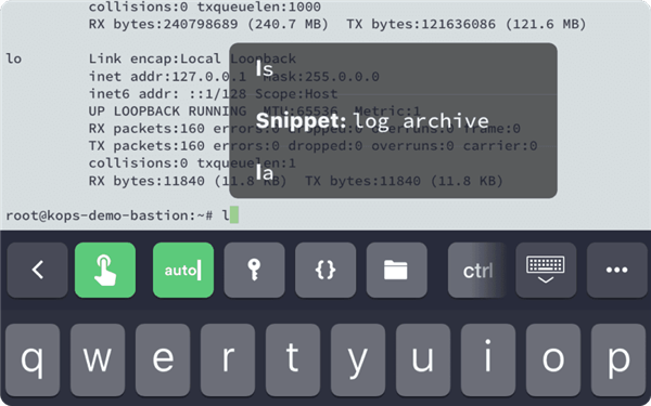 Termius安卓汉化版 Termius安卓汉化版