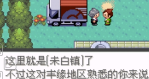 口袋妖怪冠军的旅程游戏截图2