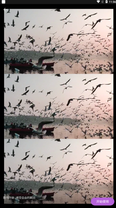 pixverse图片编辑软件下载 pixverse图片编辑软件下载