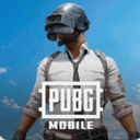 PUBG2025最新版