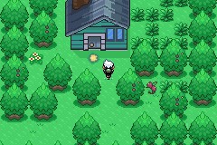 口袋妖怪空之花神一周目图文攻略 空之花神一周目详细流程