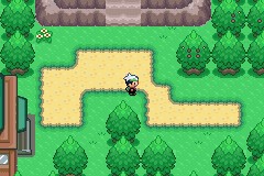 口袋妖怪空之花神一周目图文攻略 空之花神一周目详细流程