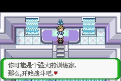 口袋妖怪空之花神一周目图文攻略 空之花神一周目详细流程