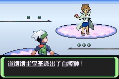 口袋妖怪空之花神一周目图文攻略 空之花神一周目详细流程