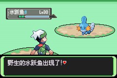 口袋妖怪空之花神一周目图文攻略 空之花神一周目详细流程