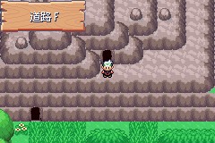 口袋妖怪空之花神一周目图文攻略 空之花神一周目详细流程