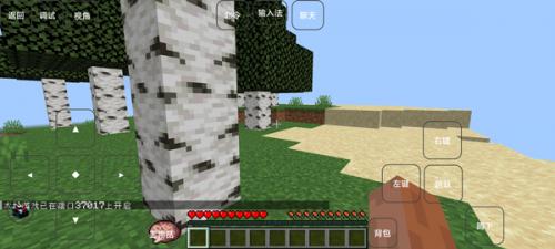 我的世界史诗战斗