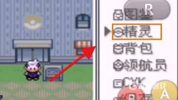 口袋妖怪漆黑的魅影金手指