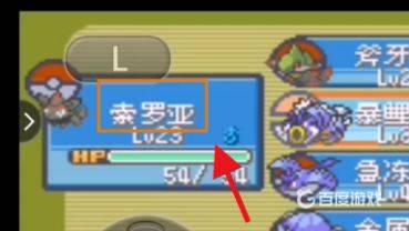 口袋妖怪漆黑的魅影金手指