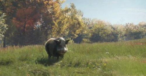 猎人荒野的呼唤