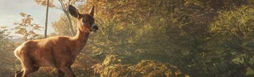 猎人荒野的呼唤