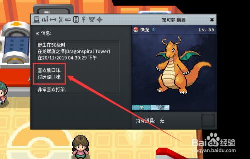 口袋妖怪白金汉化版