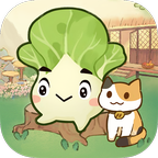 治愈小院红包版