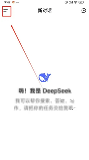 deepseek-ai智能助手