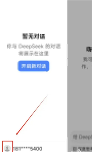 deepseek-ai智能助手