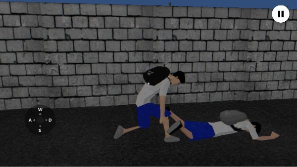 皮卡布宁静的夜晚游戏截图4