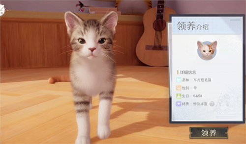 我和我的猫手机版图片3