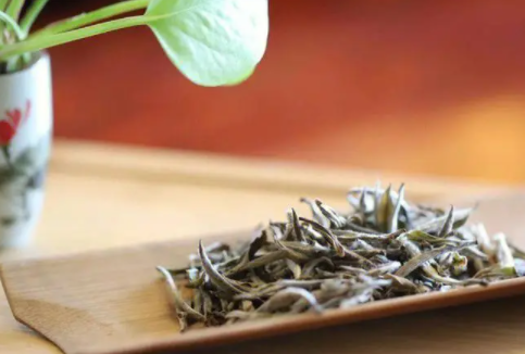 白大师app安卓版下载