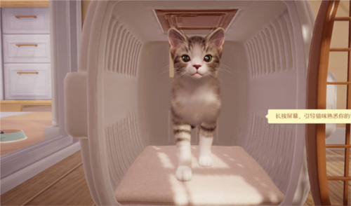 我和我的猫手机版图片6