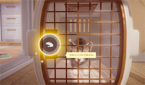 我和我的猫手机版图片5