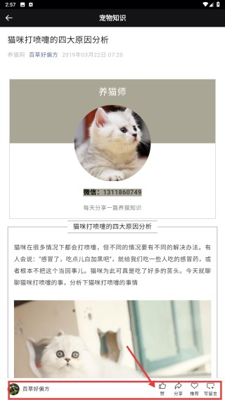 peppycat猫语翻译器下载
