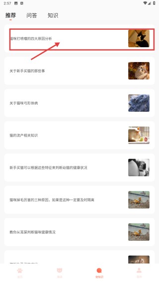 peppycat猫语翻译器下载