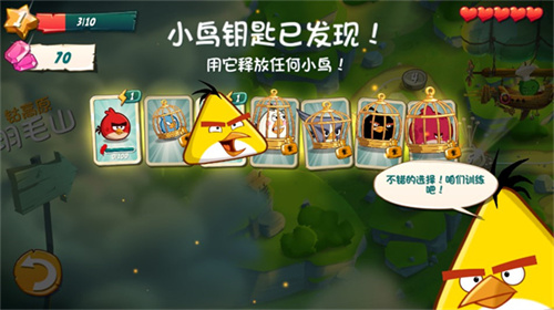 愤怒的小鸟2最新版